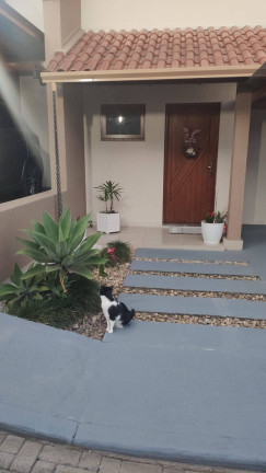 Imagem Casa com 3 Quartos à Venda, 128 m² em Centro - Sapucaia Do Sul Imagem Casa com 3 Quartos à Venda, 128 m² em Centro - Sapucaia Do Sul