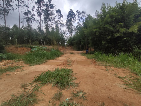 Imagem Terreno à Venda, 242.000 m² em área Rural De Limeira - Limeira Imagem Terreno à Venda, 242.000 m² em área Rural De Limeira - Limeira