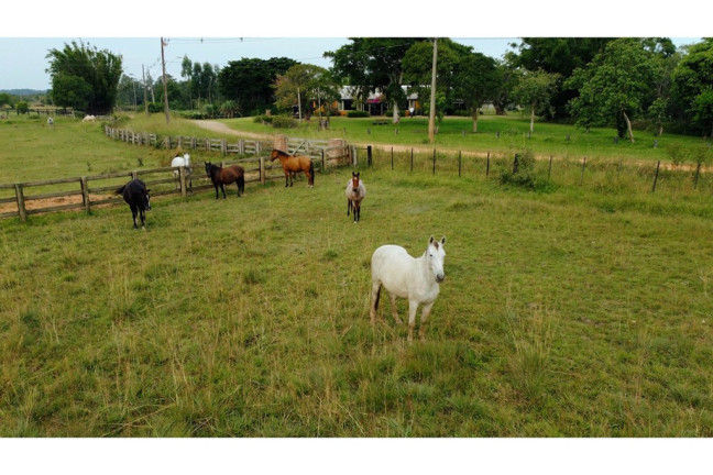 Imagem Chácara à Venda, 20.000 m² em São José - Viamão Imagem Chácara à Venda, 20.000 m² em São José - Viamão
