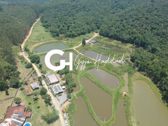Imagem Fazenda à Venda, 196 m² em Piedade