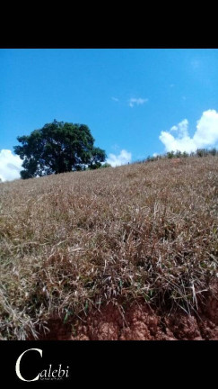 Imagem Chácara à Venda, 5 m² em Rural - Jacutinga Imagem Chácara à Venda, 5 m² em Rural - Jacutinga