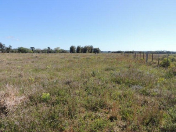 Imagem Terreno à Venda, 1.000 m² em Morro Grande - Viamão Imagem Terreno à Venda, 1.000 m² em Morro Grande - Viamão