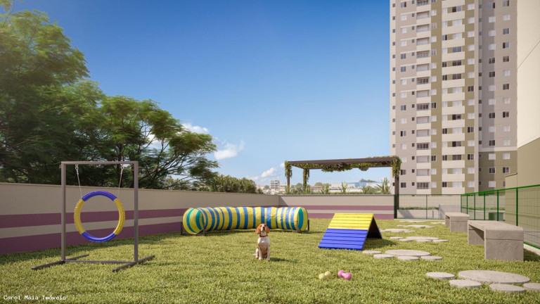 Imagem Apartamento com 2 Quartos à Venda, 53 m² em Jardim Riacho Das Pedras - Contagem Imagem Apartamento com 2 Quartos à Venda, 53 m² em Jardim Riacho Das Pedras - Contagem