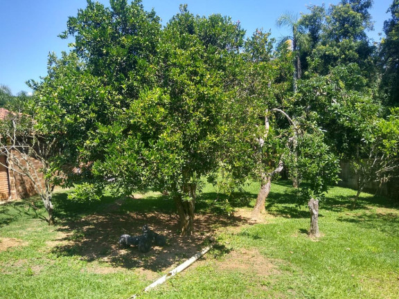 Imagem Chácara com 3 Quartos à Venda, 1.870 m² em Ibiúna