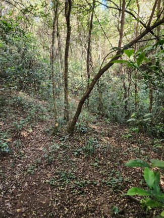 Imagem Imóvel à Venda, em Centro - Pouso Alegre Imagem Imóvel à Venda, em Centro - Pouso Alegre