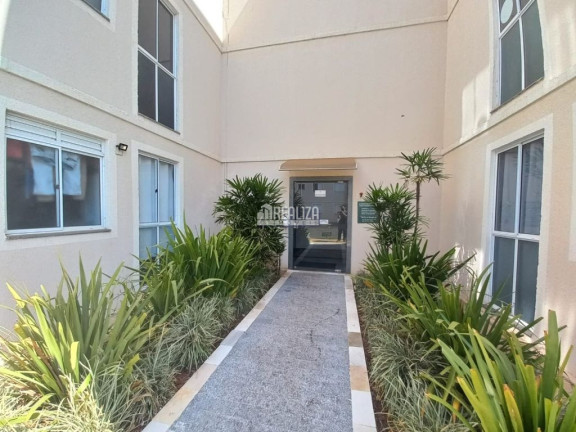 Imagem Apartamento com 2 Quartos para Alugar, 50 m² em Recreio Dos Bandeirantes - Uberaba Imagem Apartamento com 2 Quartos para Alugar, 50 m² em Recreio Dos Bandeirantes - Uberaba