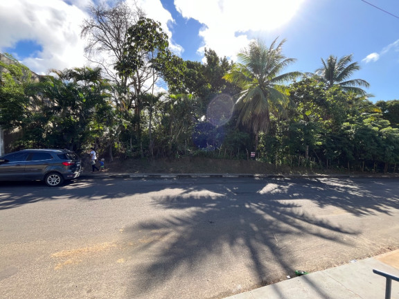 Imagem Terreno à Venda, 250 m² em Malhada - Mata De São João Imagem Terreno à Venda, 250 m² em Malhada - Mata De São João