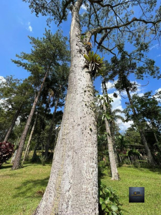 Imagem Imóvel com 3 Quartos à Venda, 2.000 m² em Dos Borges - Embuguaçu Imagem Imóvel com 3 Quartos à Venda, 2.000 m² em Dos Borges - Embuguaçu