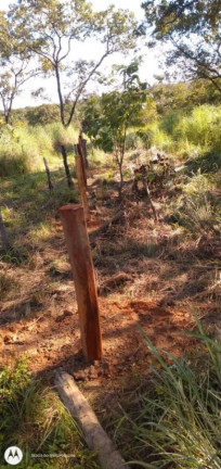 Imagem Fazenda à Venda,  em Rural - Figueirópolis