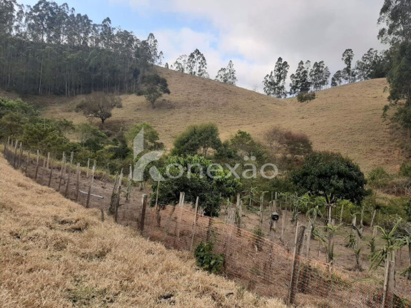 Imagem Chácara com 1 Quarto à Venda, 70 m² em Lagoa - Paraibuna