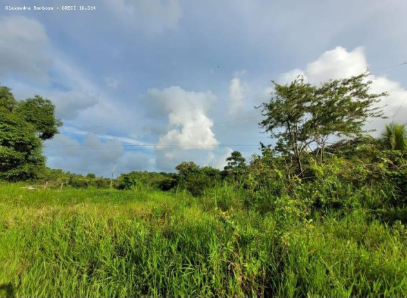 Imagem Terreno à Venda, 4 m² em Cabo - Cabo De Santo Agostinho Imagem Terreno à Venda, 4 m² em Cabo - Cabo De Santo Agostinho