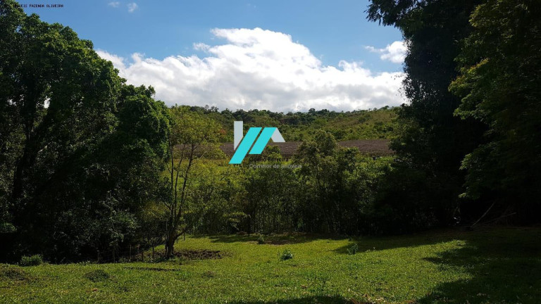 Imagem Fazenda à Venda, 128 m² em Zona Rural - Oliveira Imagem Fazenda à Venda, 128 m² em Zona Rural - Oliveira