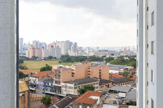 Imagem Apartamento com 3 Quartos à Venda, 65 m² em Aclimação - São Paulo Imagem Apartamento com 3 Quartos à Venda, 65 m² em Aclimação - São Paulo