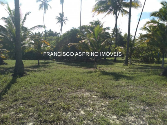 Imagem Imóvel à Venda, 8.000 m² em Mamoã - Ilhéus Imagem Imóvel à Venda, 8.000 m² em Mamoã - Ilhéus