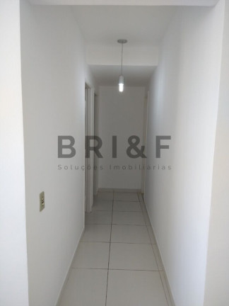Imagem Apartamento com 2 Quartos à Venda, 65 m² em Vila Paulista - São Paulo Imagem Apartamento com 2 Quartos à Venda, 65 m² em Vila Paulista - São Paulo