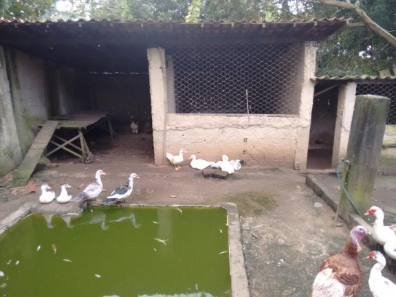 Imagem Chácara com 3 Quartos à Venda, 3.992 m² em Aldeia - Camaragibe Imagem Chácara com 3 Quartos à Venda, 3.992 m² em Aldeia - Camaragibe