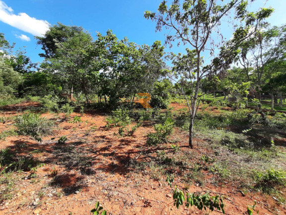 Terreno à Venda, 5.000 m² em Campinho - Lagoa Santa