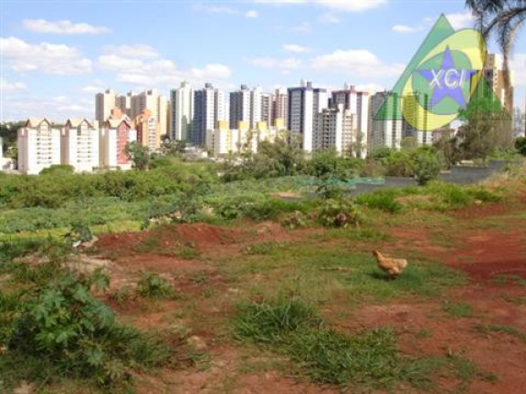 Imagem Imóvel à Venda, 9 m² em Parque Rural Fazenda Santa Cândida - Campinas Imagem Imóvel à Venda, 9 m² em Parque Rural Fazenda Santa Cândida - Campinas