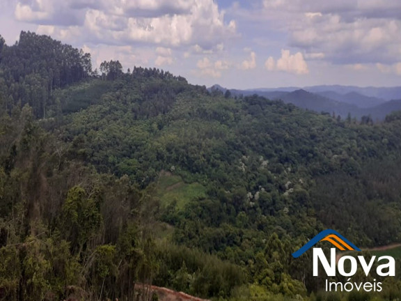 Imagem Imóvel à Venda, em Linha Olinda - Nova Petrópolis Imagem Imóvel à Venda, em Linha Olinda - Nova Petrópolis