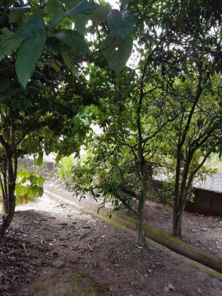 Imagem Imóvel à Venda,  em Vila Vilma (mailasqui) - São Roque