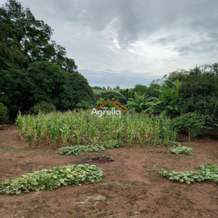 Imagem Imóvel com 2 Quartos à Venda, 11.500 m² em Paraíso Da Cachoeira - Mogi Mirim