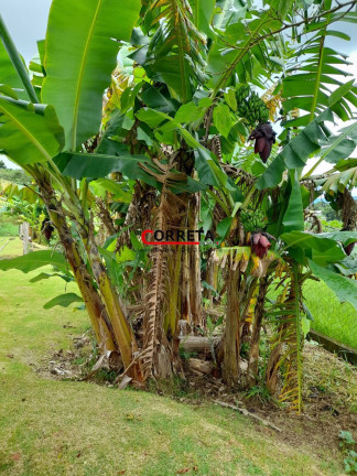 Imagem Casa com 3 Quartos à Venda, 2.500 m² em Cupim - Ibiúna Imagem Casa com 3 Quartos à Venda, 2.500 m² em Cupim - Ibiúna