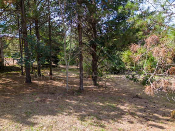 Imagem Terreno à Venda, 21.000 m² em Chácaras Alpina - Valinhos Imagem Terreno à Venda, 21.000 m² em Chácaras Alpina - Valinhos