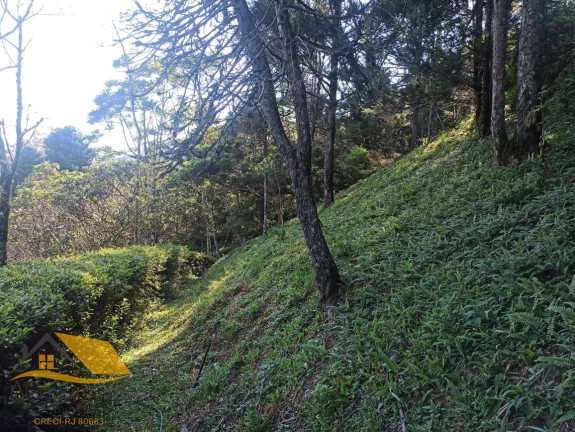 Imagem Chácara com 3 Quartos à Venda, 150 m² em Theodoro De Oliveira - Nova Friburgo Imagem Chácara com 3 Quartos à Venda, 150 m² em Theodoro De Oliveira - Nova Friburgo