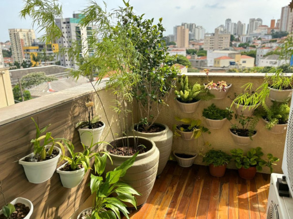 Imagem Apartamento com 3 Quartos à Venda, 141 m² em Jardim São Paulo(zona Norte) - São Paulo Imagem Apartamento com 3 Quartos à Venda, 141 m² em Jardim São Paulo(zona Norte) - São Paulo