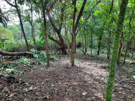Imagem Terreno à Venda, 2.437 m² em Chácara Eliana - Cotia