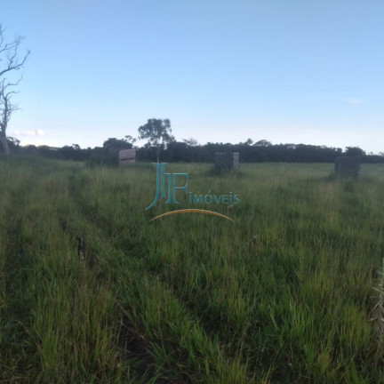 Imagem Imóvel com 4 Quartos à Venda, 105.000 m² em Centro - Cajuru Imagem Imóvel com 4 Quartos à Venda, 105.000 m² em Centro - Cajuru