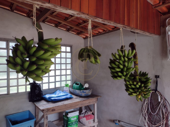 Imagem Chácara com 5 Quartos à Venda, 500 m² em Bairro Da Grama - Paraibuna