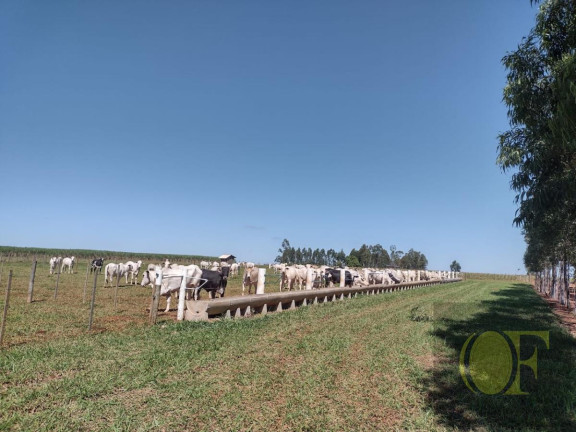 Imagem Chácara à Venda, 28 m² em Rural - águas De Santa Bárbara