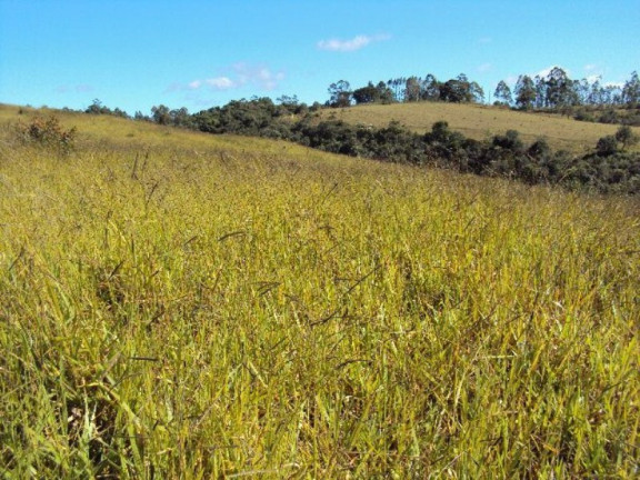 Imagem Imóvel com 2 Quartos à Venda, 266.200 m² em Zona Rural - Jacui
