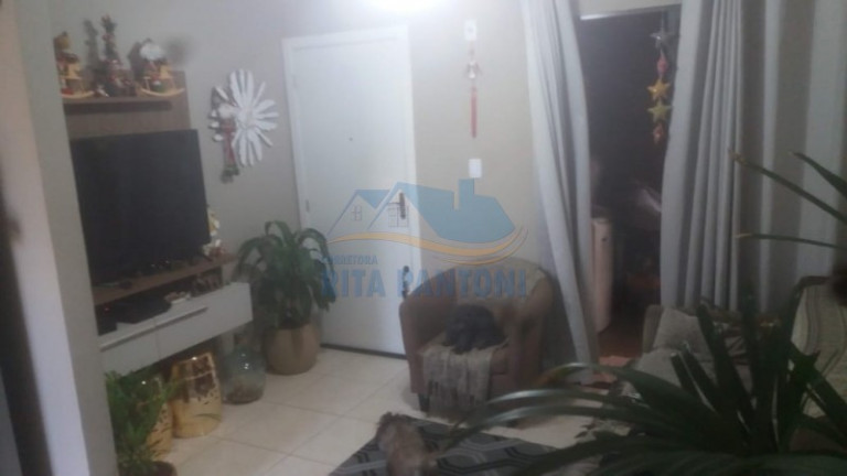 Imagem Apartamento com 2 Quartos à Venda, 53 m² em Parque Dos Servidores - Ribeirão Preto Imagem Apartamento com 2 Quartos à Venda, 53 m² em Parque Dos Servidores - Ribeirão Preto