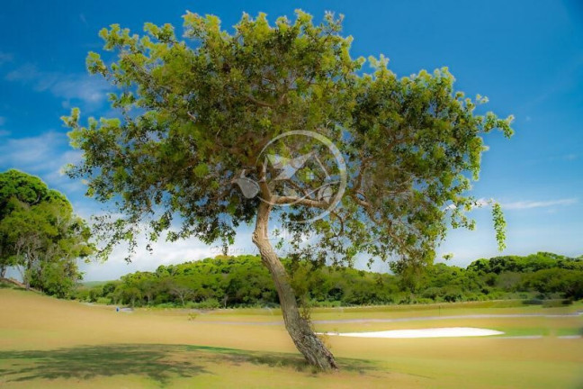 Imagem Terreno à Venda, 1.072 m² em Marina - Búzios