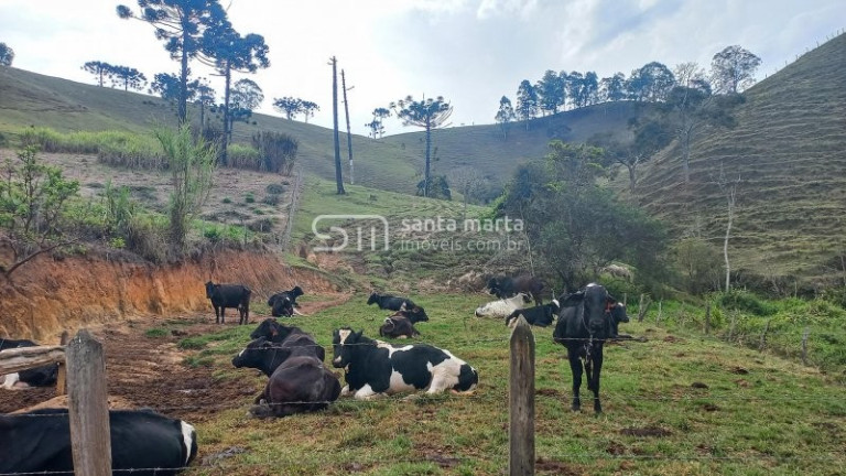 Imagem Imóvel com 3 Quartos à Venda, 1 m² em Bairro Calunga/peitudo - Silveiras Imagem Imóvel com 3 Quartos à Venda, 1 m² em Bairro Calunga/peitudo - Silveiras