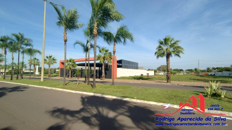 Imagem Terreno à Venda, 600 m² em Jardim Alto Do Silvares - Birigui Imagem Terreno à Venda, 600 m² em Jardim Alto Do Silvares - Birigui