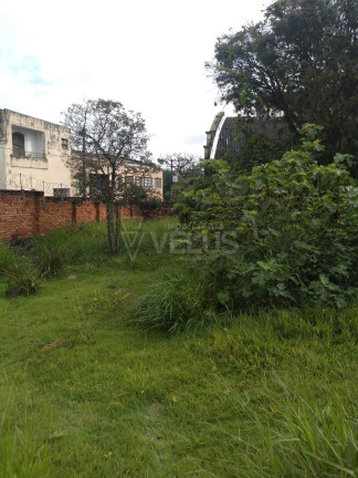 Imagem Casa com 3 Quartos à Venda, 173 m² em Centro - Itapetininga