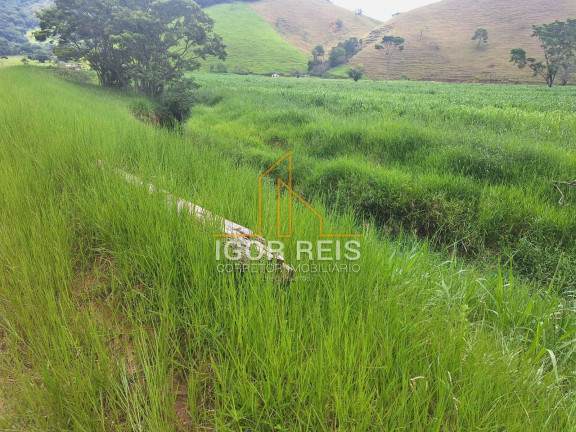 Imagem Fazenda à Venda, 400 m² em Campos Dos Goytacazes Imagem Fazenda à Venda, 400 m² em Campos Dos Goytacazes