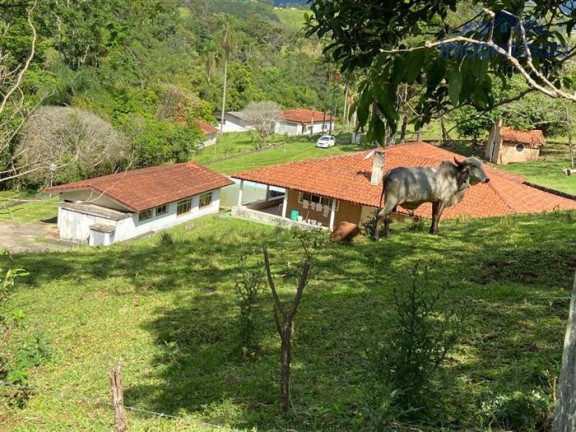 Imagem Chácara com 10 Quartos à Venda, 245.000 m² em Centro - Piracaia