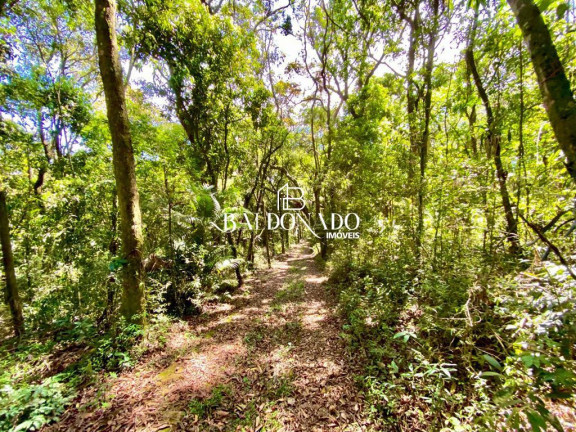 Imagem Imóvel com 2 Quartos à Venda, 12.000 m² em Centro - Munhoz