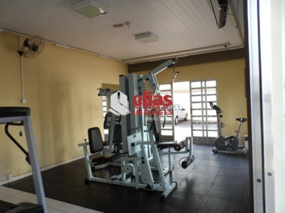 Imagem Apartamento com 2 Quartos à Venda, 55 m² em Jardim Terra Branca - Bauru Imagem Apartamento com 2 Quartos à Venda, 55 m² em Jardim Terra Branca - Bauru