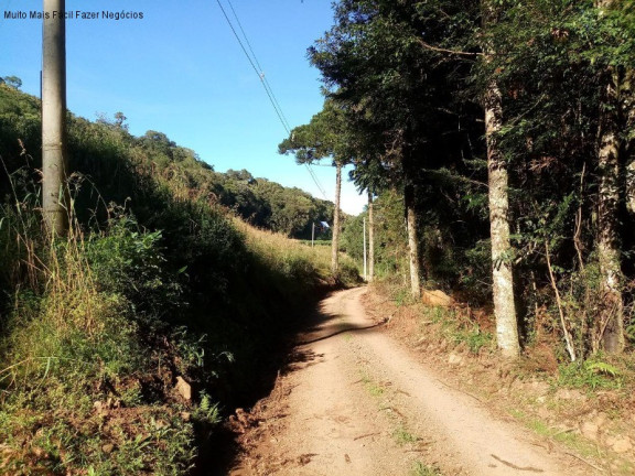 Imagem Terreno à Venda, 2 m² em Linha Imperial - Nova Petrópolis Imagem Terreno à Venda, 2 m² em Linha Imperial - Nova Petrópolis