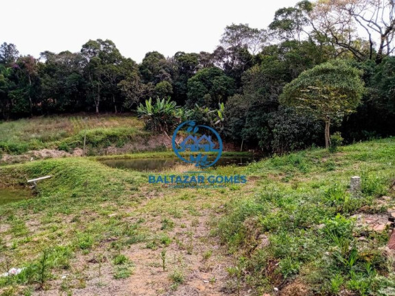 Imagem Imóvel com 3 Quartos à Venda, 56.000 m² em Cocuera - Mogi Das Cruzes Imagem Imóvel com 3 Quartos à Venda, 56.000 m² em Cocuera - Mogi Das Cruzes