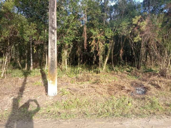 Imagem Chácara à Venda, 1.250 m² em Jardim Aguapeú - Itanhaém Imagem Chácara à Venda, 1.250 m² em Jardim Aguapeú - Itanhaém
