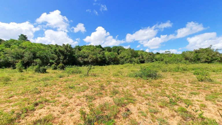 Imagem Fazenda à Venda, 900.000 m² em Centro - Viamão Imagem Fazenda à Venda, 900.000 m² em Centro - Viamão
