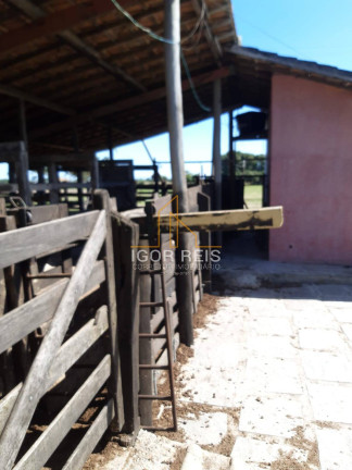 Imagem Fazenda à Venda, 277 m² em Quissamã Imagem Fazenda à Venda, 277 m² em Quissamã