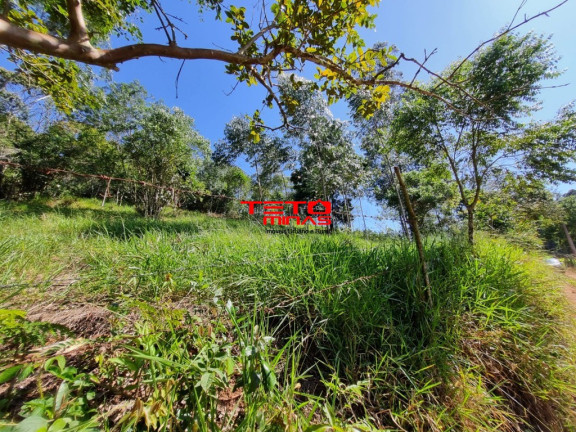 Imagem Imóvel à Venda, em Zona Rural - Dom Viçoso Imagem Imóvel à Venda, em Zona Rural - Dom Viçoso