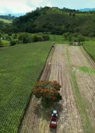 Imagem Fazenda à Venda, 530 m² em Centro - Cruzeiro Imagem Fazenda à Venda, 530 m² em Centro - Cruzeiro